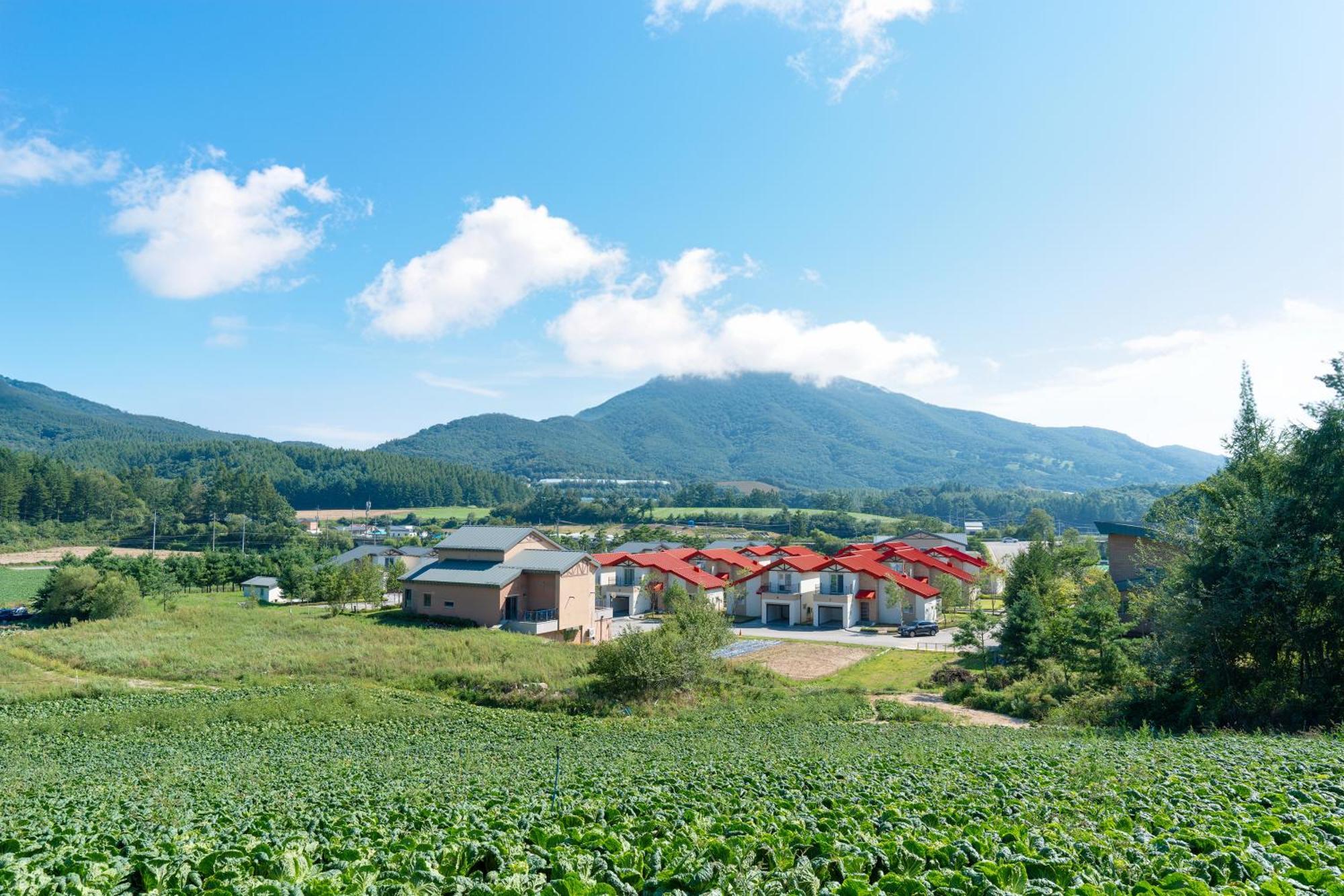 Le Comte Bleu Hotel Pyeongchang Exterior foto